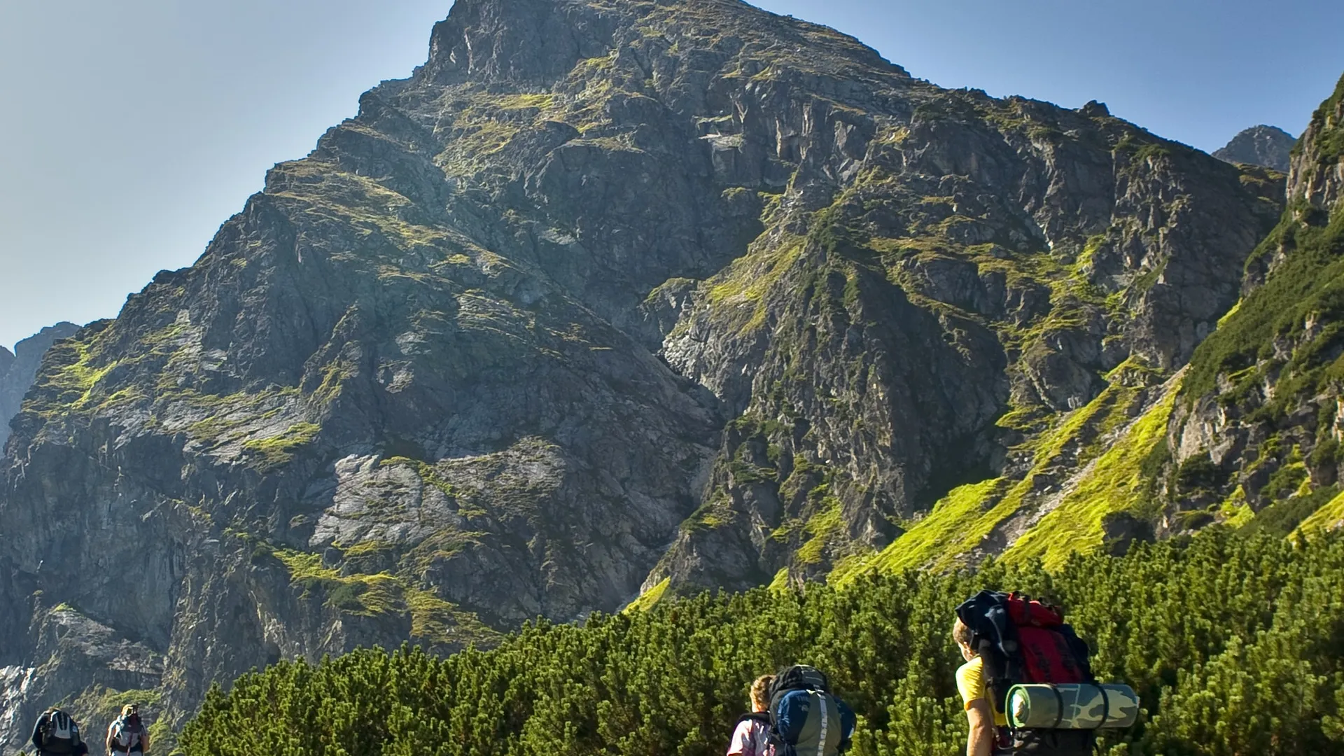 Hiking trail in the Tatra Mountains near Zakopane in summer